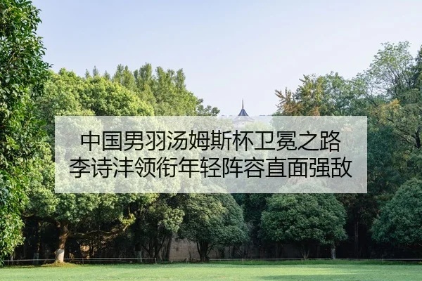zhong-guo-nan-yu-tang-mu-si-bei-wei-mian-zhi-lu-li-shi-feng-ling-xian-nian-qing-zhen-rong-zhi-mian-qiang-di-2-570.jpg